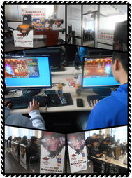 全國格斗大賽省賽首戰(zhàn)場館啟用先進網(wǎng)絡(luò)設(shè)備，助力賽事直播與銷售新機遇